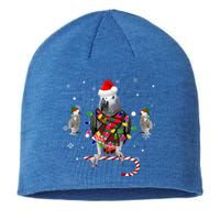 African Grey Parrot Funny Christmas Santa Hat On Gift Sustainable Beanie