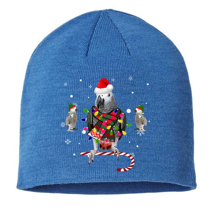 African Grey Parrot Funny Christmas Santa Hat On Gift Sustainable Beanie