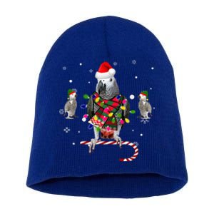 African Grey Parrot Funny Christmas Santa Hat On Gift Short Acrylic Beanie