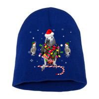 African Grey Parrot Funny Christmas Santa Hat On Gift Short Acrylic Beanie