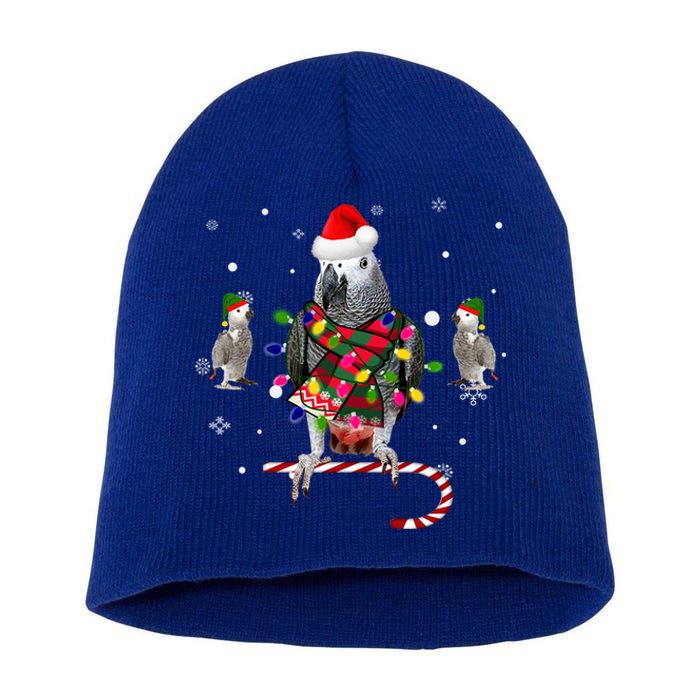 African Grey Parrot Funny Christmas Santa Hat On Gift Short Acrylic Beanie