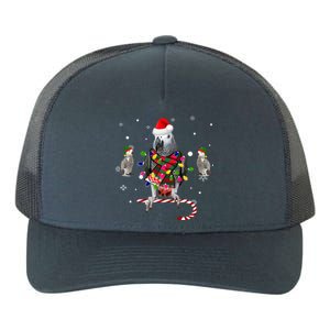 African Grey Parrot Funny Christmas Santa Hat On Gift Yupoong Adult 5-Panel Trucker Hat