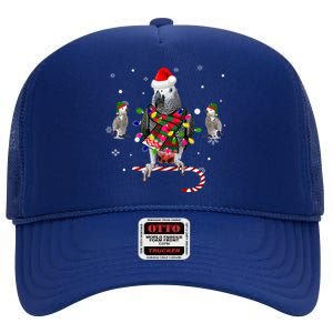 African Grey Parrot Funny Christmas Santa Hat On Gift High Crown Mesh Back Trucker Hat