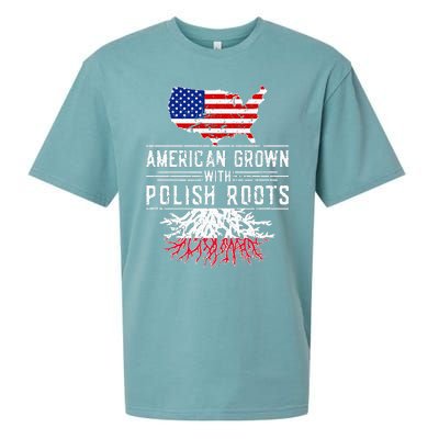 American Grown Polish Roots Pride Poland Sueded Cloud Jersey T-Shirt