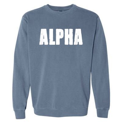 ALPHA Gym Rabbit Workout Bodybuilding Fitness F010 Garment-Dyed Sweatshirt