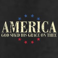 America God Shed His Grace On Thee 4th Of July 7 Panel Mesh Trucker Snapback Hat
