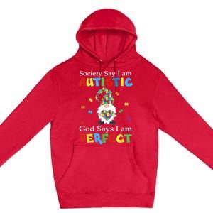 Autism Gnome Society Say I'm Autistic God Says I'm Perfect Premium Pullover Hoodie