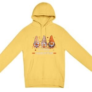 Autumn Gnomes With Harvest Happy Thanksgiving Premium Pullover Hoodie