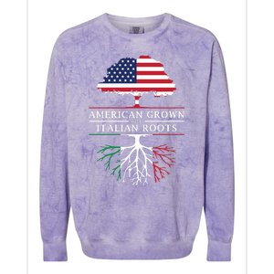 American Grown With Italian Roots Italy Colorblast Crewneck Sweatshirt