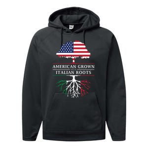 American Grown With Italian Roots Italy Performance Fleece Hoodie