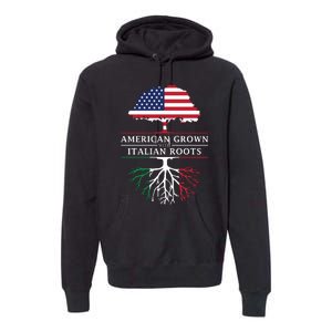 American Grown With Italian Roots Italy Premium Hoodie