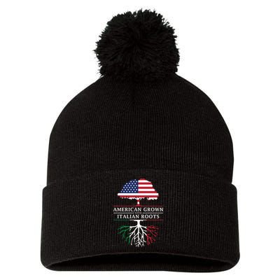 American Grown With Italian Roots Italy Pom Pom 12in Knit Beanie