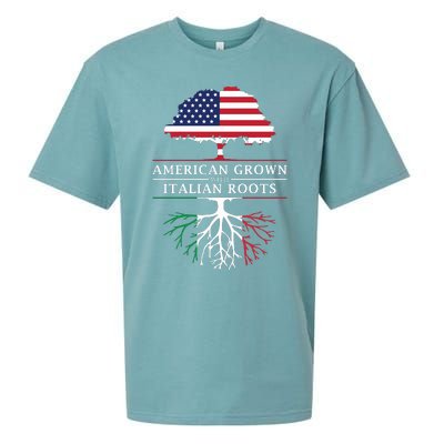 American Grown With Italian Roots Italy Sueded Cloud Jersey T-Shirt