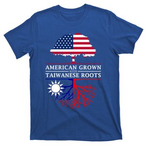 American Grown With Taiwanese Roots Gift Taiwan Gift T-Shirt