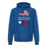 American Grown With Taiwanese Roots Gift Taiwan Gift Premium Hoodie