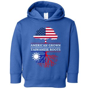 American Grown With Taiwanese Roots Gift Taiwan Gift Toddler Hoodie