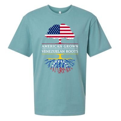 American Grown With Venezuelan Roots Sueded Cloud Jersey T-Shirt