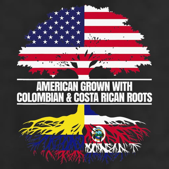 American Grown With Flag Heritage Colombia Costa Rica Roots Beanie