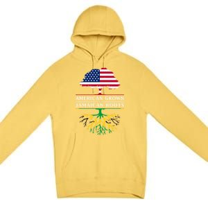 American Grown With Jamaican Roots Gift Jamaica Funny Gift Premium Pullover Hoodie