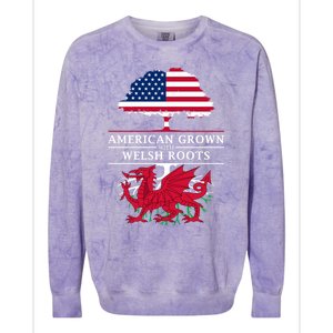 American Grown With Welsh Roots Wales Gift Colorblast Crewneck Sweatshirt