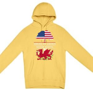 American Grown With Welsh Roots Wales Gift Premium Pullover Hoodie