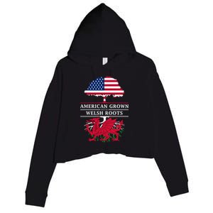 American Grown With Welsh Roots Wales Gift Crop Fleece Hoodie