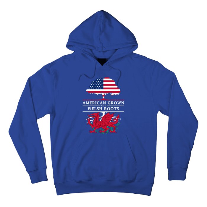 American Grown With Welsh Roots Wales Gift Hoodie