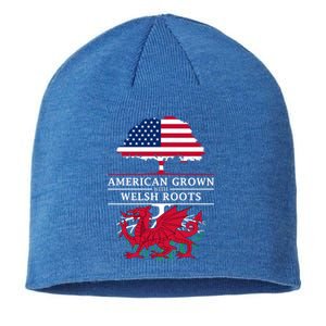 American Grown With Welsh Roots Wales Gift Sustainable Beanie