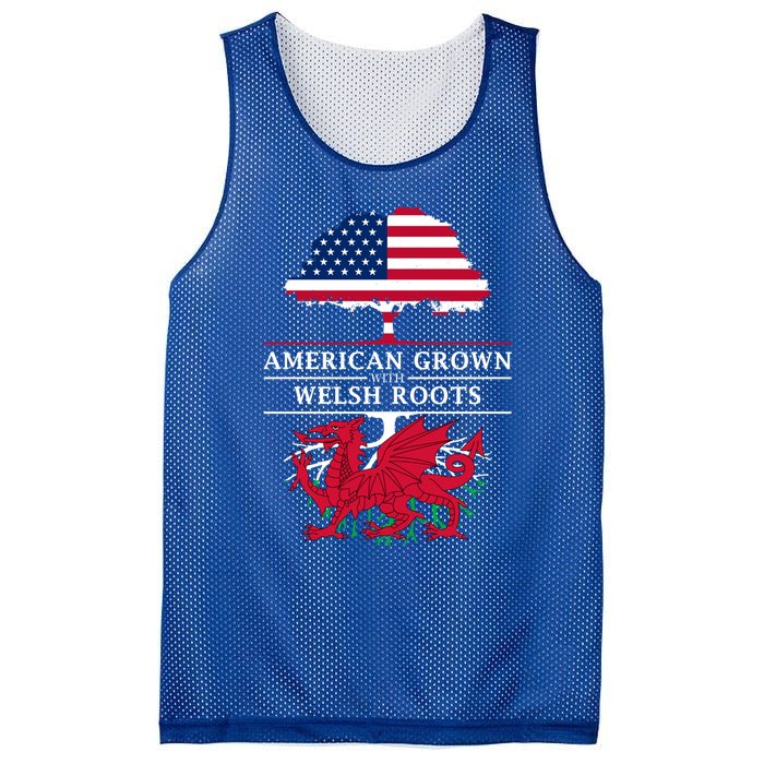 American Grown With Welsh Roots Wales Gift Mesh Reversible Basketball Jersey Tank