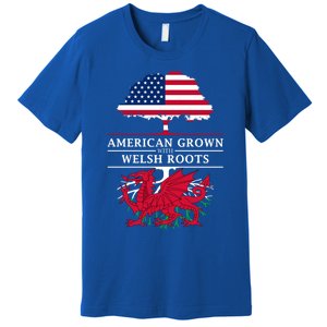 American Grown With Welsh Roots Wales Gift Premium T-Shirt