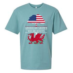 American Grown With Welsh Roots Wales Gift Sueded Cloud Jersey T-Shirt