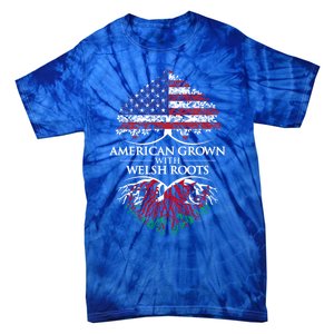 American Grown With Welsh Roots Heart Tree Flag Retro Meaningful Gift Tie-Dye T-Shirt