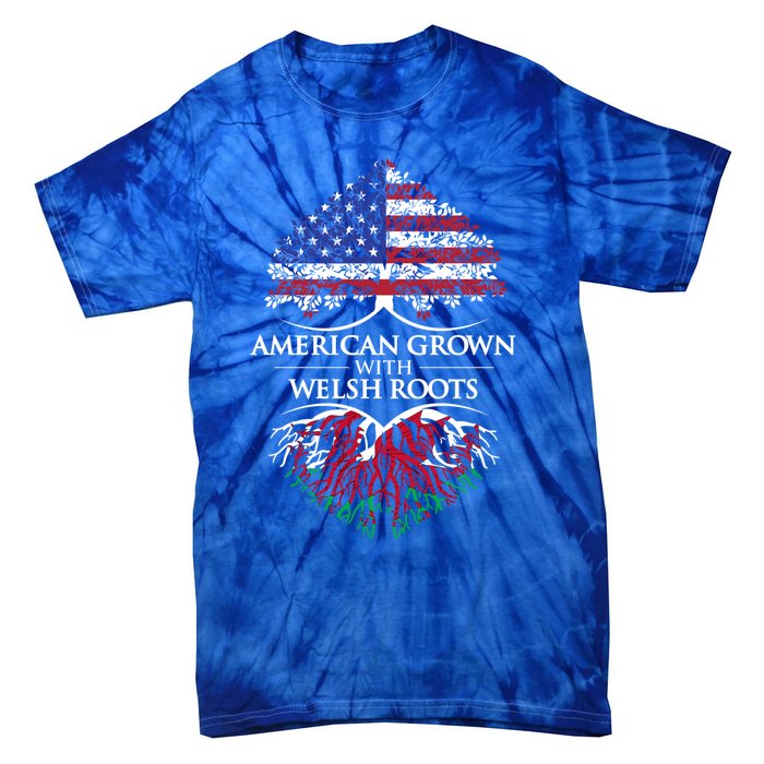 American Grown With Welsh Roots Heart Tree Flag Retro Meaningful Gift Tie-Dye T-Shirt