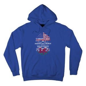 American Grown With Welsh Roots Heart Tree Flag Retro Meaningful Gift Tall Hoodie