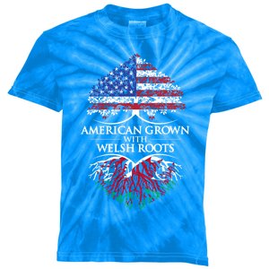 American Grown With Welsh Roots Heart Tree Flag Retro Meaningful Gift Kids Tie-Dye T-Shirt