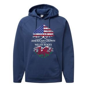 American Grown With Welsh Roots Heart Tree Flag Retro Meaningful Gift Performance Fleece Hoodie