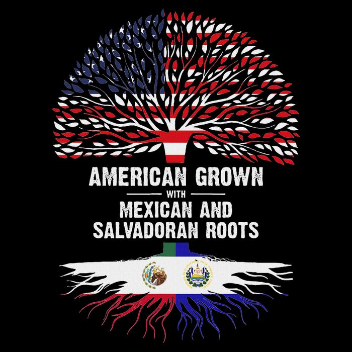 American Grown With Mexican Salvadoran Roots Women's V-Neck T-Shirt