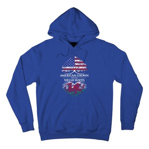 American Grown With Welsh Roots Heart Tree Flag Retro Funny Gift Hoodie