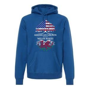 American Grown With Welsh Roots Heart Tree Flag Retro Funny Gift Premium Hoodie