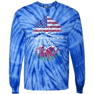 American Grown With Welsh Roots Heart Tree Flag Retro Funny Gift Tie-Dye Long Sleeve Shirt