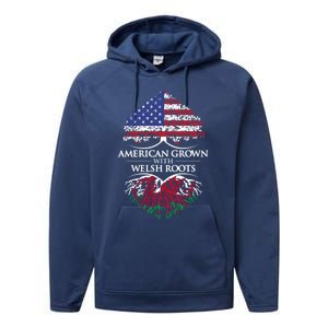 American Grown With Welsh Roots Heart Tree Flag Retro Funny Gift Performance Fleece Hoodie