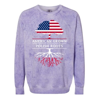 American Grown With Polish Roots Gift Poland Gift Colorblast Crewneck Sweatshirt