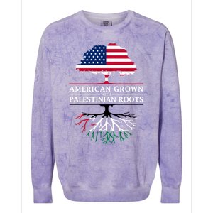 American Grown With Palestinian Roots Palestine Gift Colorblast Crewneck Sweatshirt