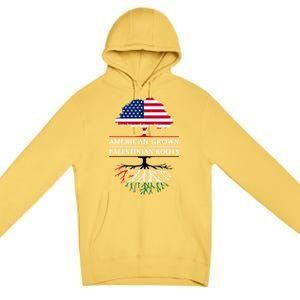 American Grown With Palestinian Roots Palestine Gift Premium Pullover Hoodie