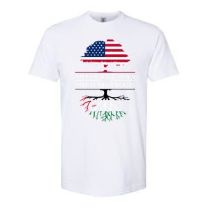 American Grown With Palestinian Roots Palestine Gift Softstyle CVC T-Shirt