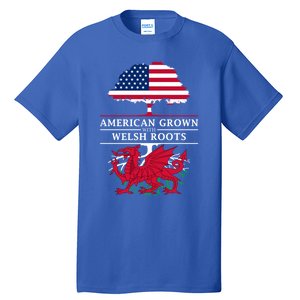 American Grown With Welsh Roots Wales Funny Gift Tall T-Shirt