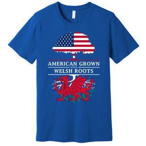 American Grown With Welsh Roots Wales Funny Gift Premium T-Shirt