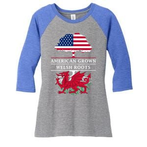 American Grown With Welsh Roots Wales Funny Gift Women's Tri-Blend 3/4-Sleeve Raglan Shirt