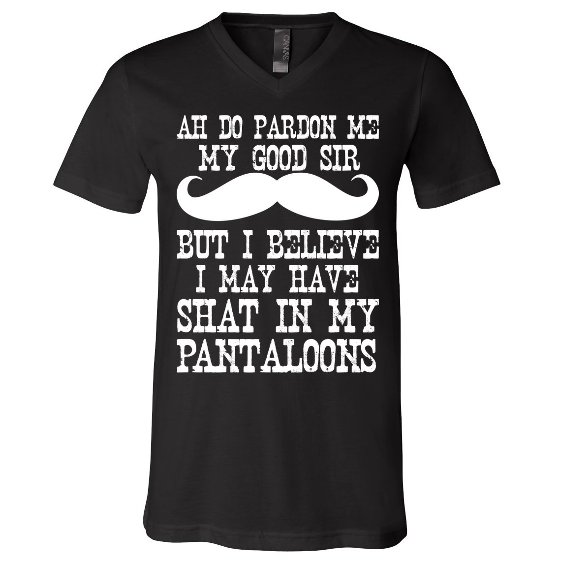 Ah Pardon Me My Good Sir I Believe I May Have Shat My Pantaloons V-Neck T-Shirt
