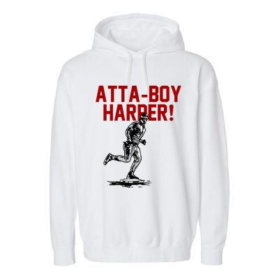 Attaboy Harper Garment-Dyed Fleece Hoodie